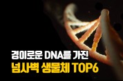 경이로운 DNA를	 가진 동물들 Top6 (영상)