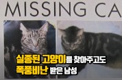 실종된 고양이를 찾아주고도 욕 먹은 남성 (영상)