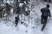 숲으로 뛰어가는 남자 사진에 담긴 2가지 비밀